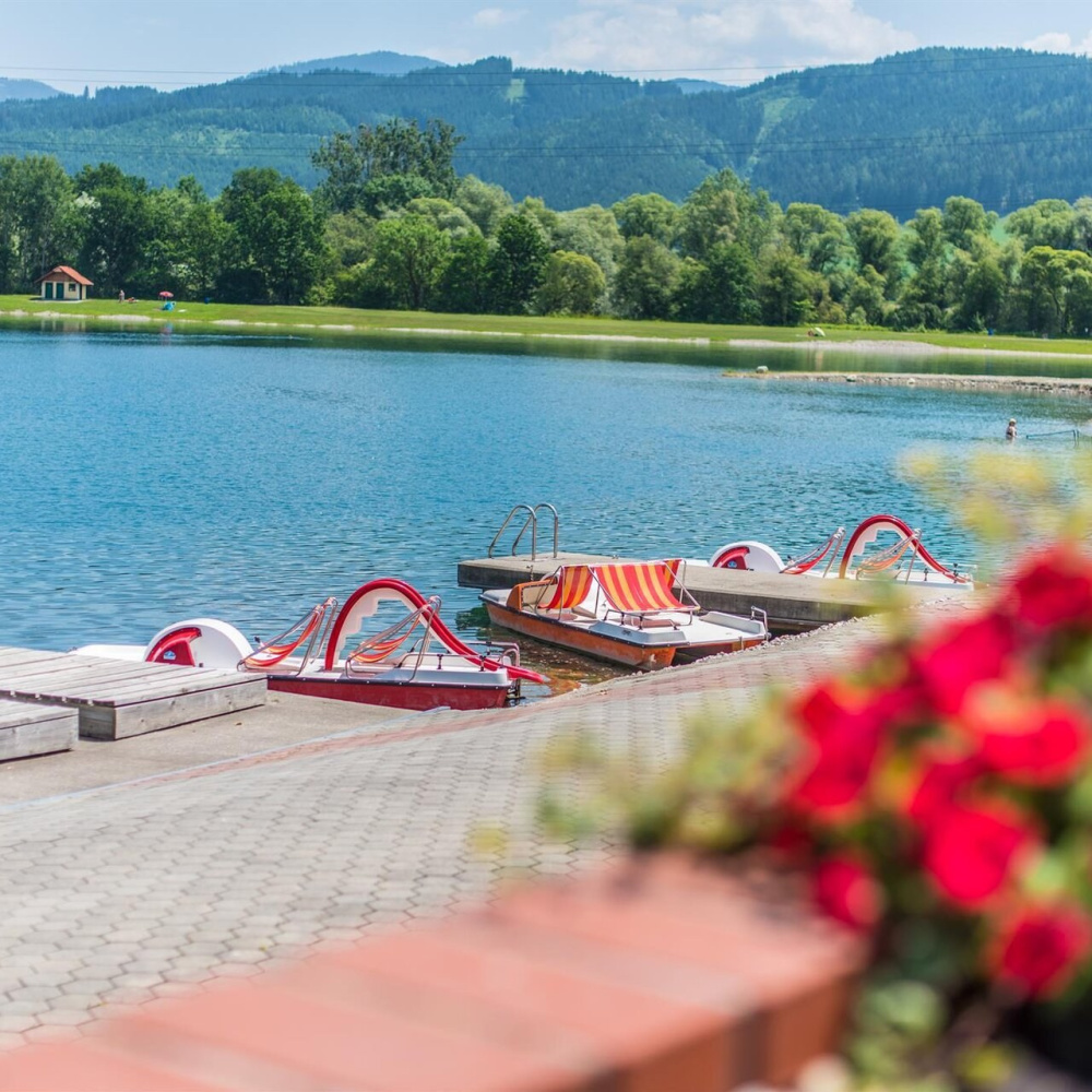 Narrenhaus sillweg fohnsdorf zechner freizeitanlage