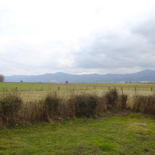Narrenhaus sillweg fohnsdorf aussenansicht 10